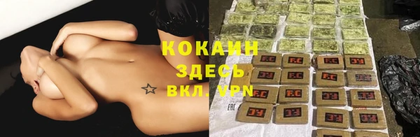 спайс Аркадак