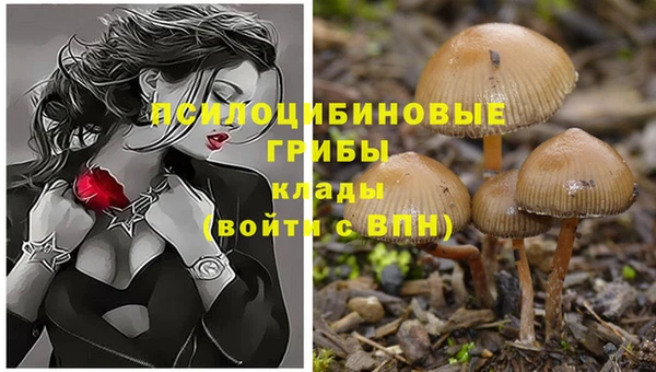 каннабис Армянск